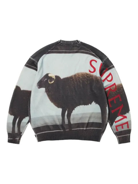 Supreme x Damien Hirst intarsia-knit sweater