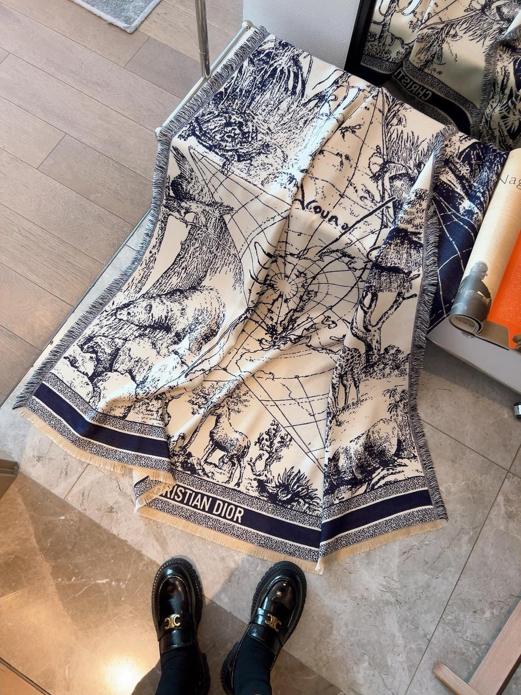 Dior Toile Print Fringed Shawl